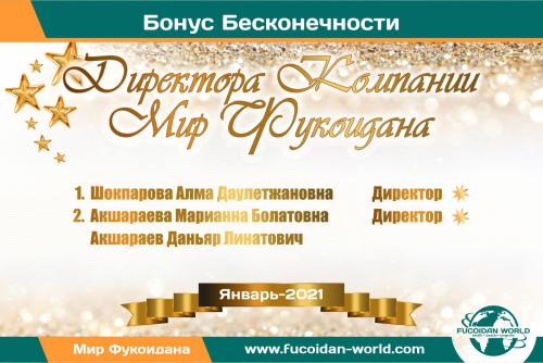 Наши достижения за Январь-2021